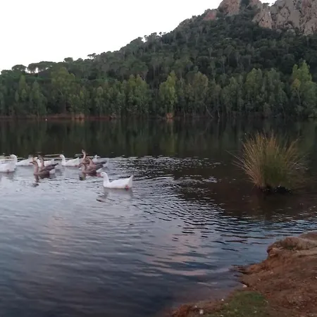 Dom wakacyjny Luigi A Poggio Dei Pini, Con Giardino E Posto Auto